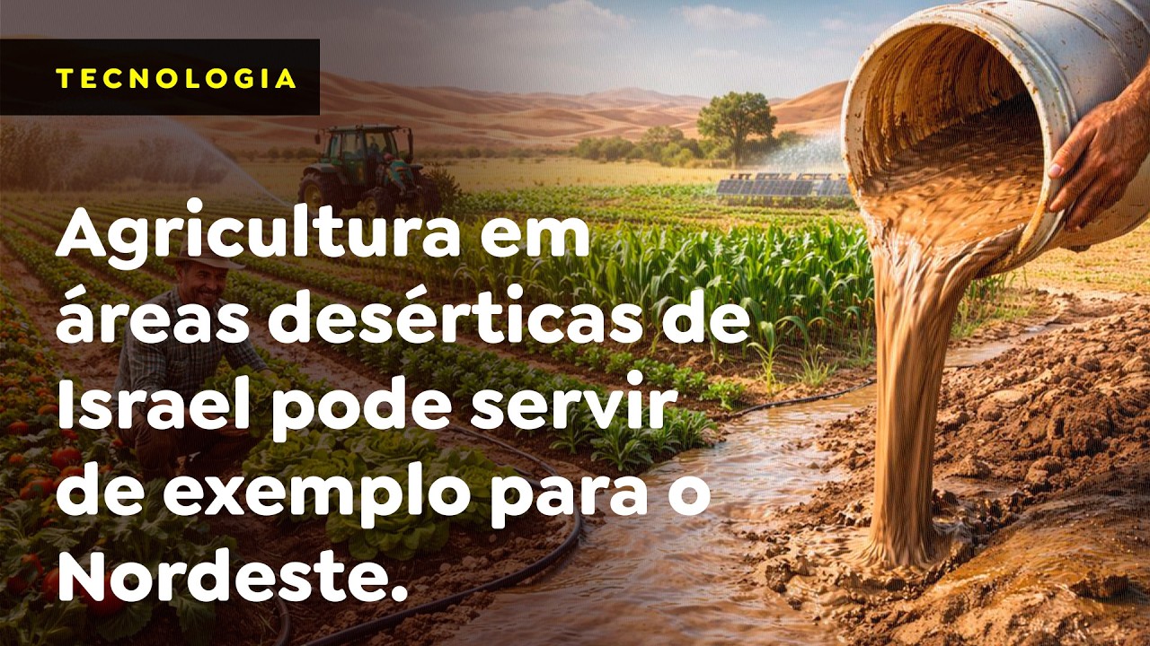 Agricultura em áreas desérticas de Israel pode servir de exemplo para o Nordeste.