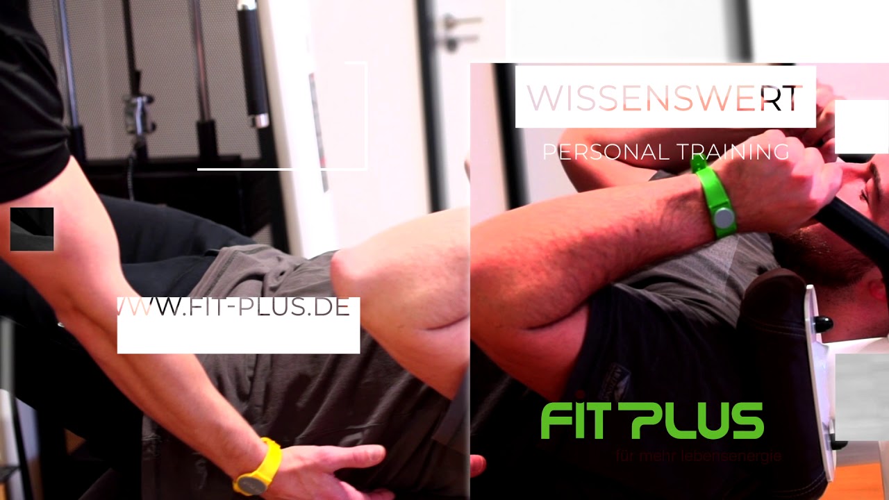 Update FIT PLUS Personal Trainer