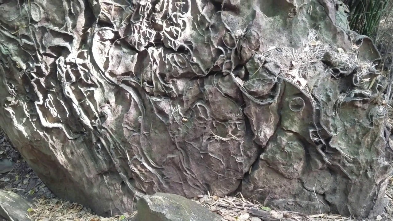 The magnificent art of the Rocky Mountains (សិល្បៈដ៏អស្ចារ្យនៃផ្ទាំងថ្មលើភ្នំគូលេន) The magnificent art of the Rocky Mountains (សិល្បៈដ៏អស្ចារ្យនៃផ្ទាំងថ្មលើភ្នំគូលេន)