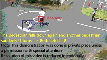 On-Device Learning for Abnormal Behavior Detection from Video Camera (2019)