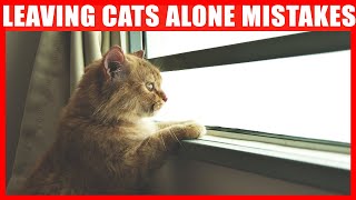 Never Do THIS When You Leave Your Cat ALONE by Jaw-Dropping Facts 2 weeks ago 8 minutes, 34 seconds 423,185 views