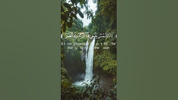 تلاوة من سورة يس - القارئ عبدالله القرني