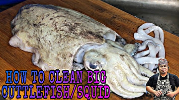 HOW TO CLEAN CUTTLEFISH/ SQUID | HUGE | EASY WAY | BODY PARTS | JBG FoodTravel TV