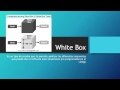 Definicion: White Box Testing