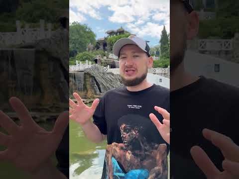 Церкариоз опасное заболевание которое можно подцепить при купании в водоеме. #собака