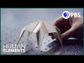 Origami in Nature and Engineering
