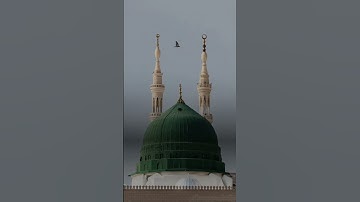 الشيخ ياسر الدوسري تلاوة رائعة #قرآن #اكسبلور #المصحف #قران_كريم #quran