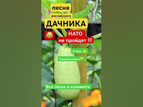 Песня российского ДАЧНИКА. НАТО НЕ ПРОЙДЕТ !!! - YouTube