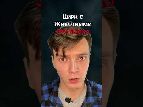 Никогда не ходите в цирк и вот почему...