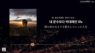日本語字幕【 들꽃놀이/ Wild Flower (with 조유진) 】 RM