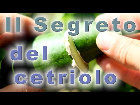 Video: I migliori semi di cetriolo: recensioni dei produttori