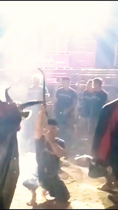 Download lagu Suluk kalapan Putra Pandawa, #shorts