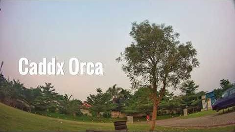 Testing Caddx Orca 4K