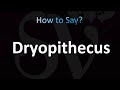 How to Pronounce Dryopithecus (CORRECTLY!)