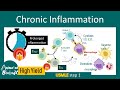 Chronic inflammation  cellular and molecular basis of chronic inflammation  outcomes  usmle step1