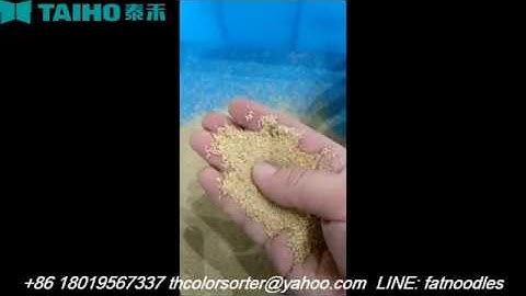 vegetable seeds sorting by TAIHO color sorter 【+86 18019567337 Charlie】