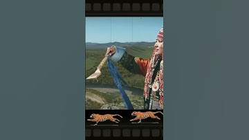 Thumbnail of fakta unik tiber #shortvideo