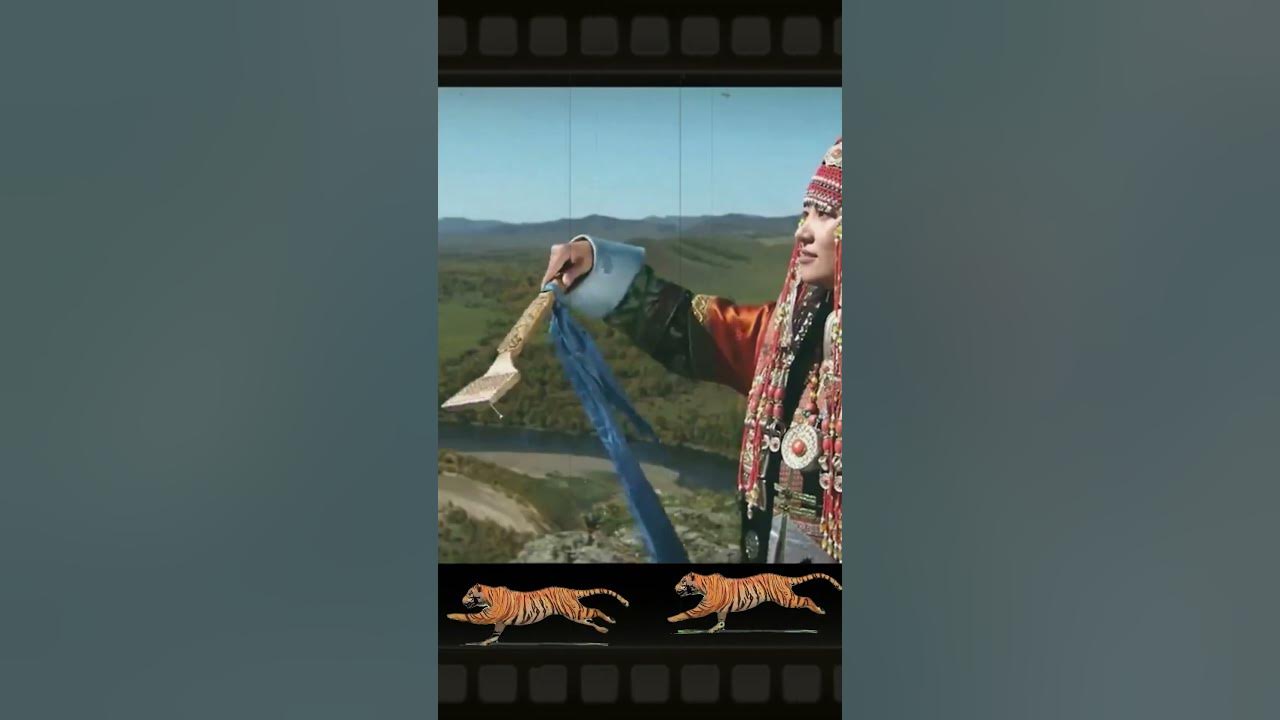 fakta unik tiber #shortvideo
