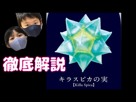 【キラスピカの実】入手困難のグミを徹底解説してみたよ！ #お菓子 #gummy #sweet #グミ