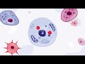 Gene Therapy Innovations and Viral Vector Applications