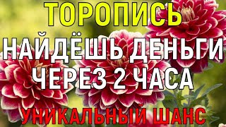 БЕДНОСТЬ ПОКИНЕТ ВАШ ДОМ. Уникальный ШАНС, который нужно использовать по полной!