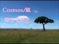 Cosmos/嵐 歌ってみた