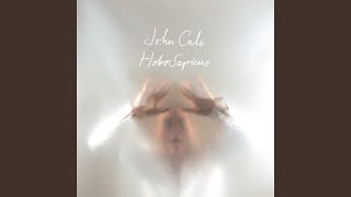 Video thumbnail of "John Cale - Magritte"