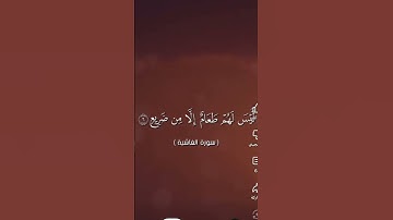 ‏سورة￼ الغاشية من ١ إلى ١٦ #اكسبلور