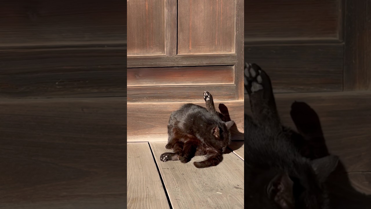 Tidying Up First, Catch U Later! 