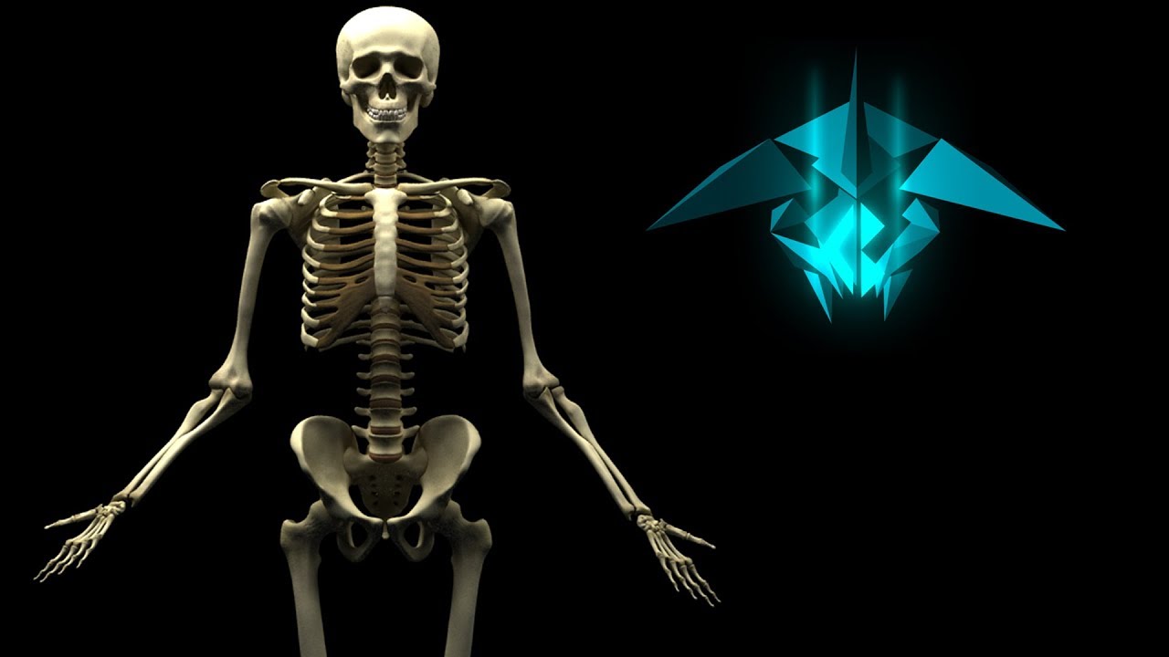 Most detailed zbrush posing skeleton winzip free download for windows xp service pack 3