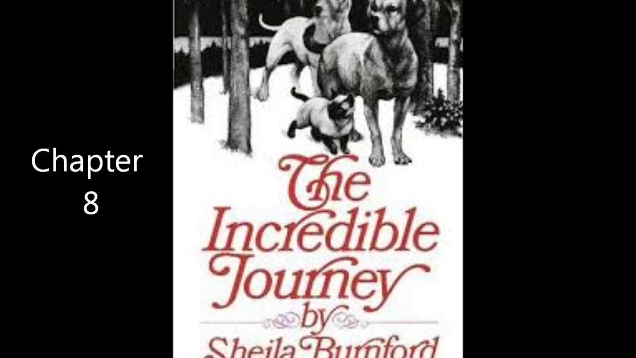 the incredible journey chapter 8