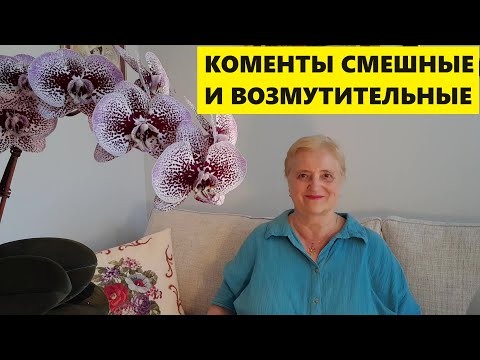 КОМЕНТЫ СМЕШНЫЕ И ВОЗМУТИТЕЛЬНЫЕ..СИДИМ НА ЛАВОЧКЕ