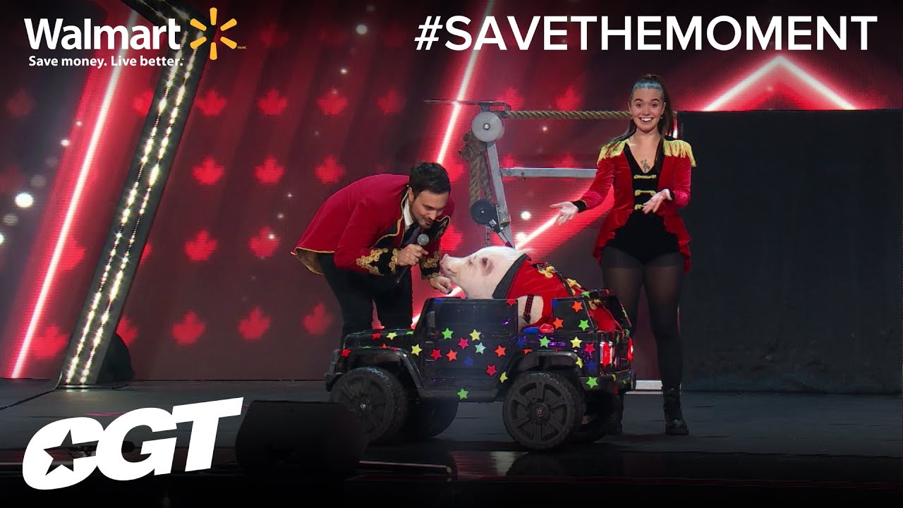 Walmart Save the Moment: Canine Circus | Canada's Got Talent