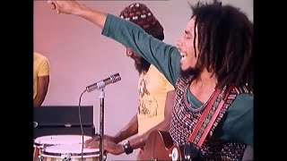 Bob Marley & The Wailers - Positive Vibration ( TopPop 1976 )