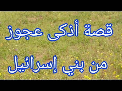 أذكى عجوز عرفها بنو إسرائيل من هي و ما خبرها قصة فيها حكم
