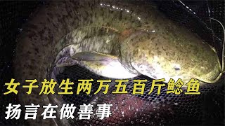 江蘇女子放生兩萬五百斤鯰魚，被罰九萬死不認賬，揚言在做善事 by 阿呆杂烩说 178 views 4 months ago 4 minutes, 36 seconds