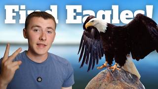 Information Want to See a Bald Eagle Follow This Guide. Guide