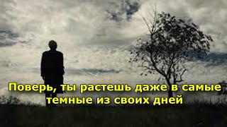 Поверь, Ты Растешь Даже В Самые Темные Из Своих Дней