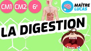La digestion CM1 - CM2 - 6ème - cycle 3 - Sciences et technologie