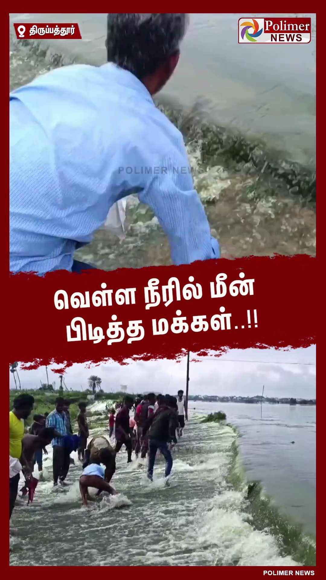 வெள்ள நீரில் மீன் பிடித்த மக்கள்..!! #shorts