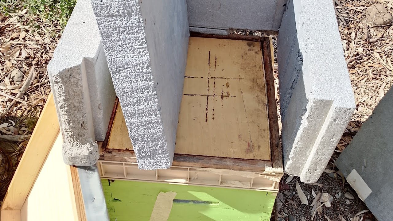 حماية الخلية من البرد #تربيةالنحل#النحل والعسل