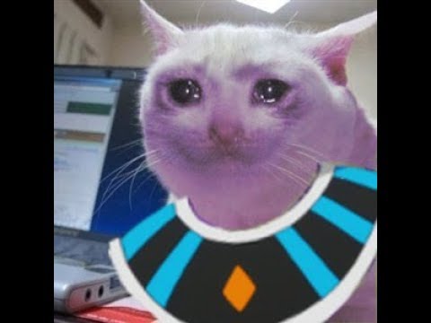 Vegito blue balls.. Just the tip..Gameplay analysis.. just the tip DBFZ ASMR