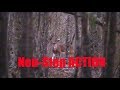 Deer Hunting: Kill Shot Compilation