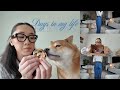 DAYS IN MY LIFE | Abercrombie &amp; Sephora Haul, Prepping for a Work Trip, Sunday Reset and Errands