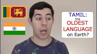 Is Tamil the OLDEST Language in the World?