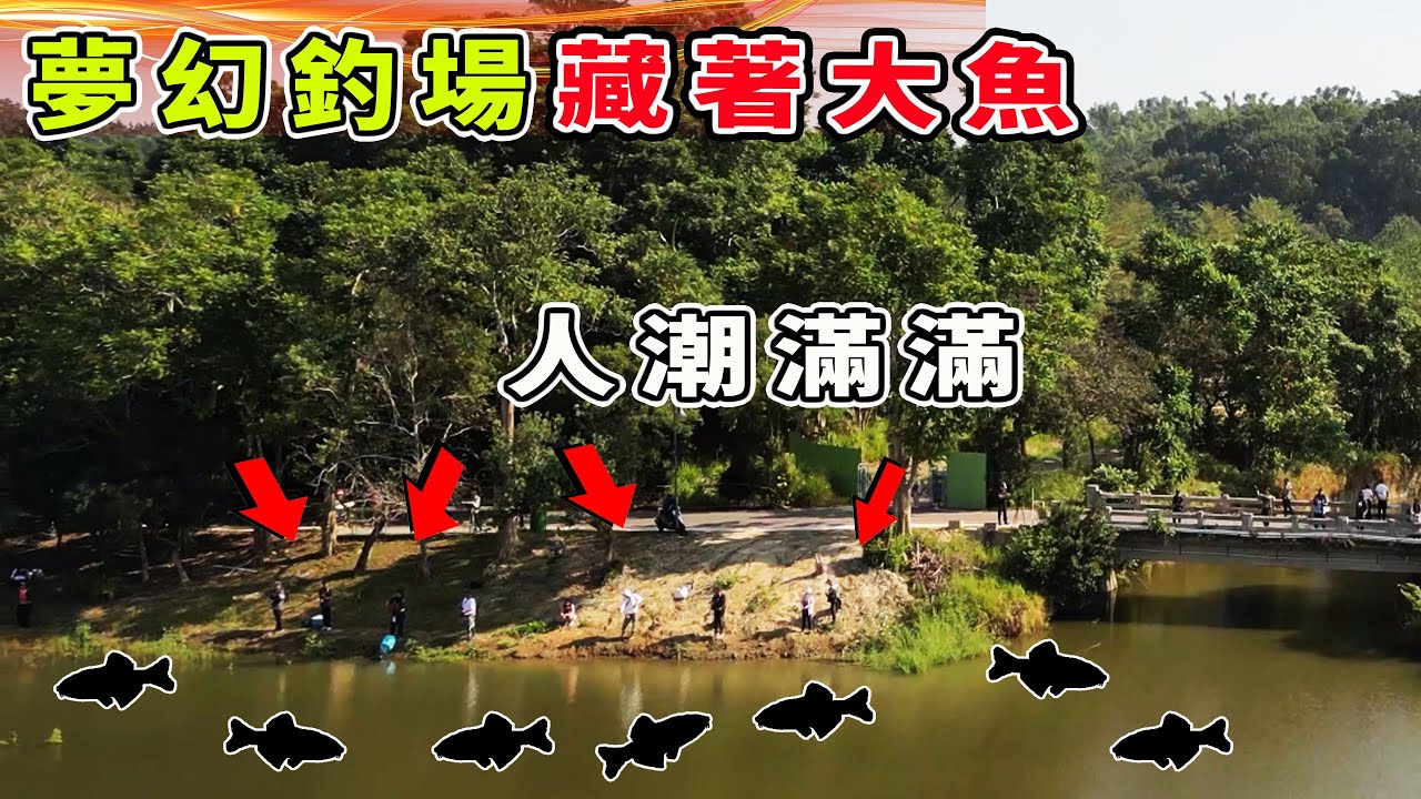 🔥遊客圍觀 水庫藏著兇猛大魚🐠 皇冠三間 七星飛刀 台灣南部釣點 路亞釣遊【漁樂爽報】Fishing Fun NEWS EP196  #釣魚 #钓鱼 #fishing 縮圖