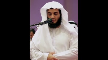 تلاوة هادئة بصوت القارئ رعد الكردي 😴🤍                 #قرآن #رعد_الكردي