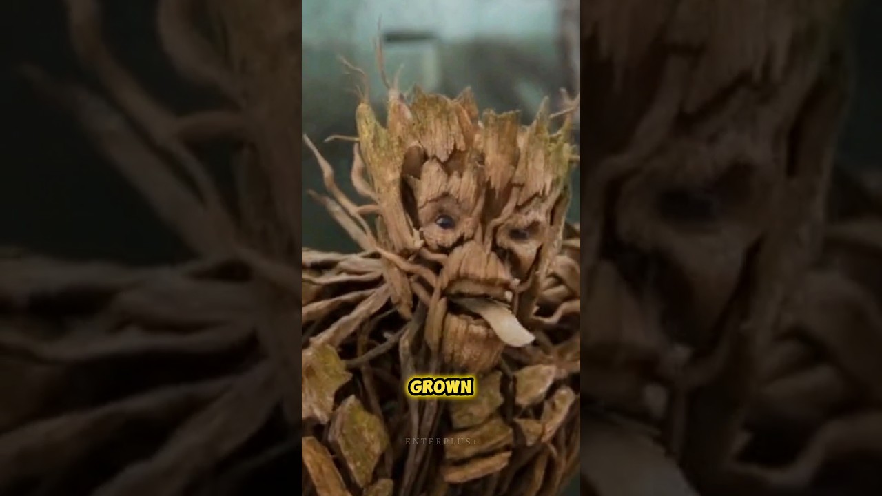 how did groot grow so fast in gotg vol 3 #shorts