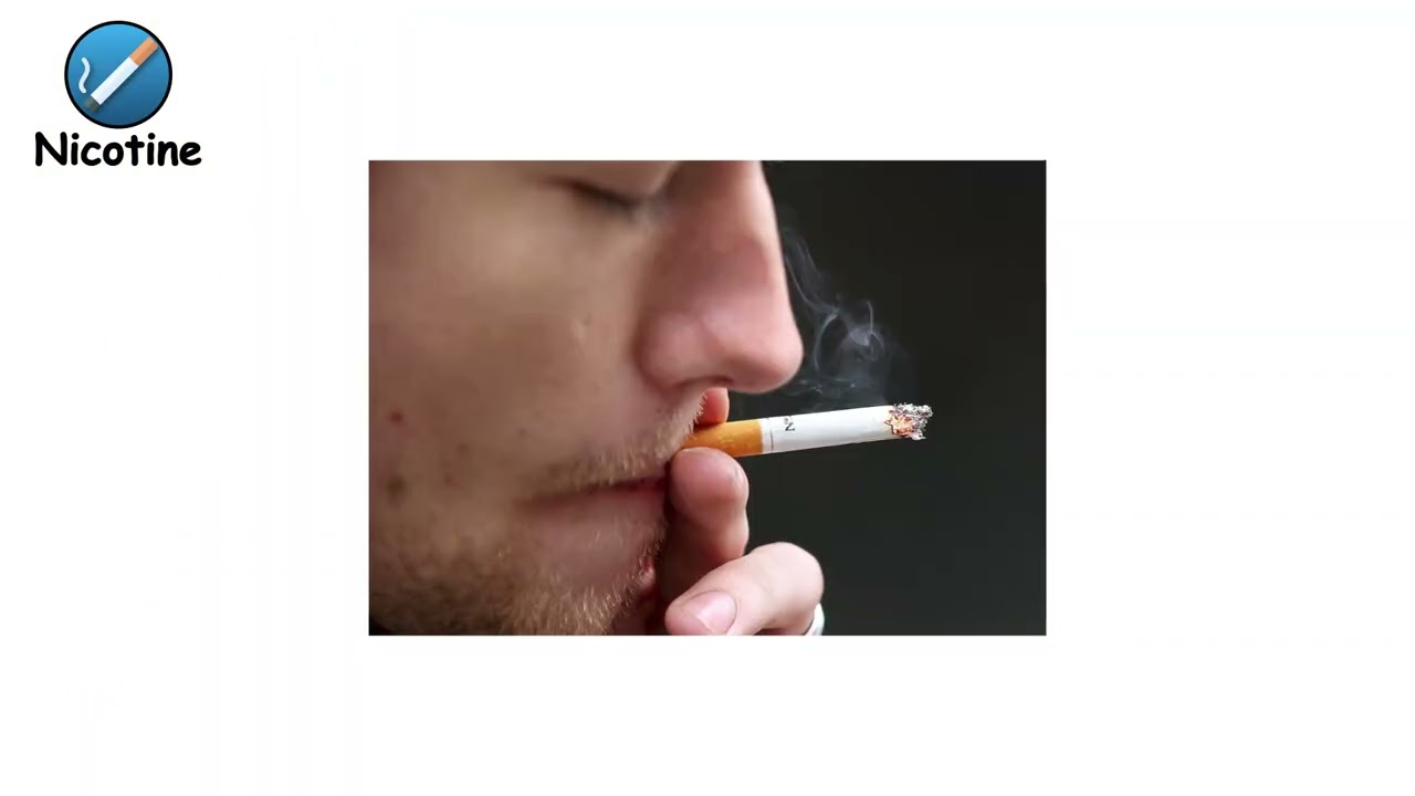 Trial Edit - NICOTINE ( Explainer Niche )