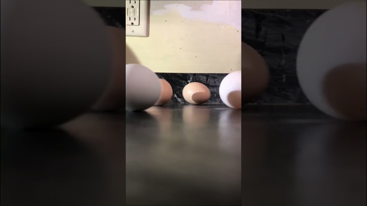 Eggs 